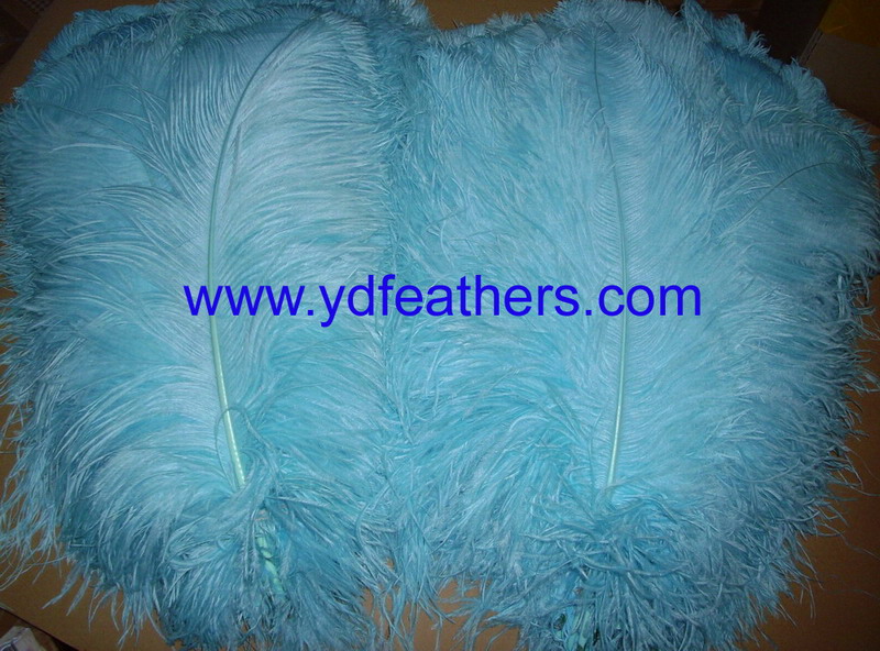 Dyed Blue Ostrich Plume Feathers