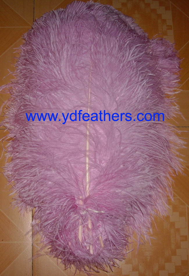 Dyed Pink Ostrich Plume Feathers