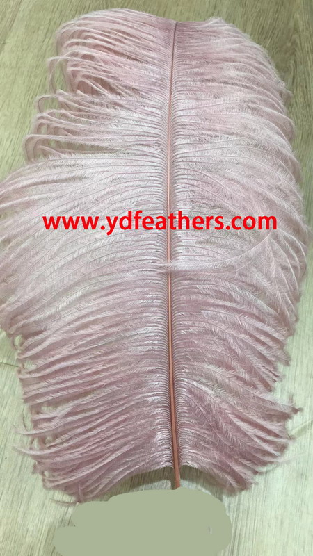 Dyed Little Pink Ostrich Plume