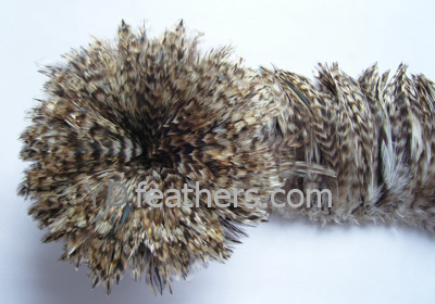 CK-13(Chinchilla Rooster/Coque/Cock Schlappens Feather,Strung)