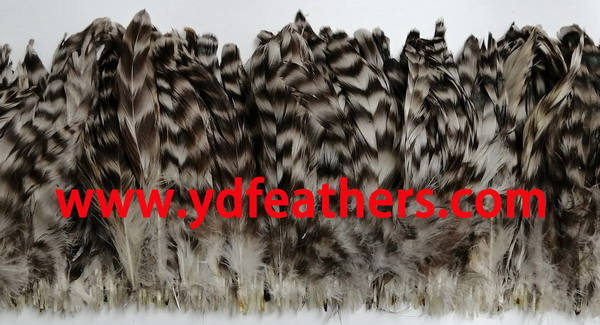 Chinchilla,Rooster/Coque/Cock Tail Feather,Strung
