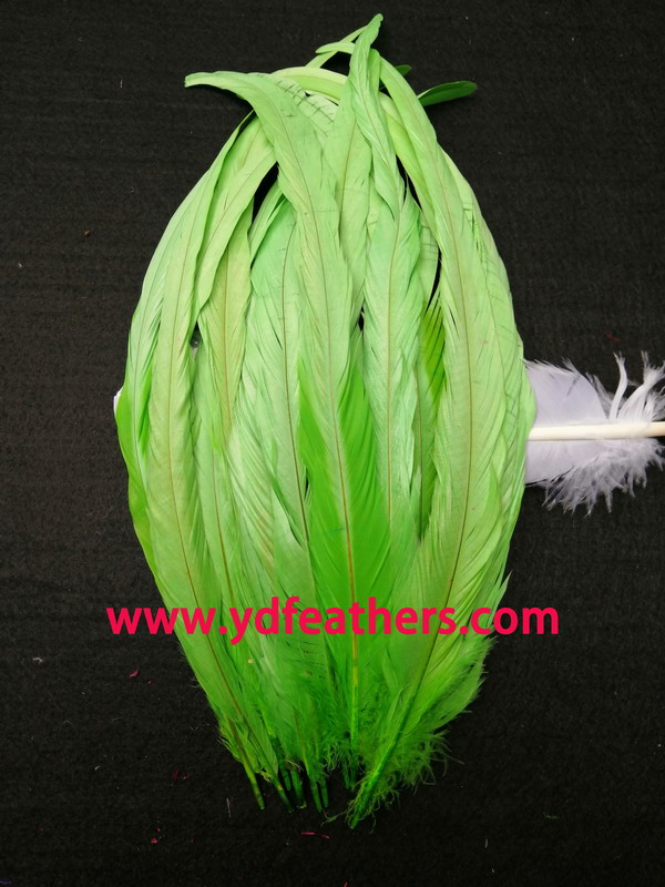 Rooster/Coque/Cock Tail Feather Dyed Green 12-14