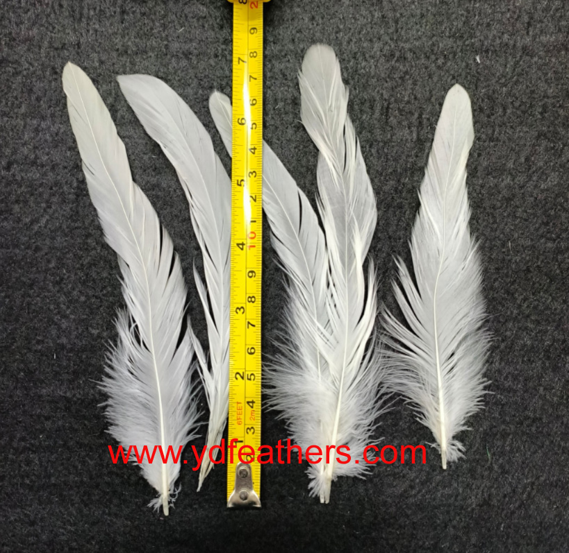 Natural White Rooster/Coque/Cock Tail Feather 6-8