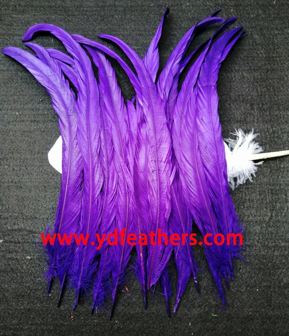 Rooster/Coque/Cock Tail Feather Dyed Purple 12-14