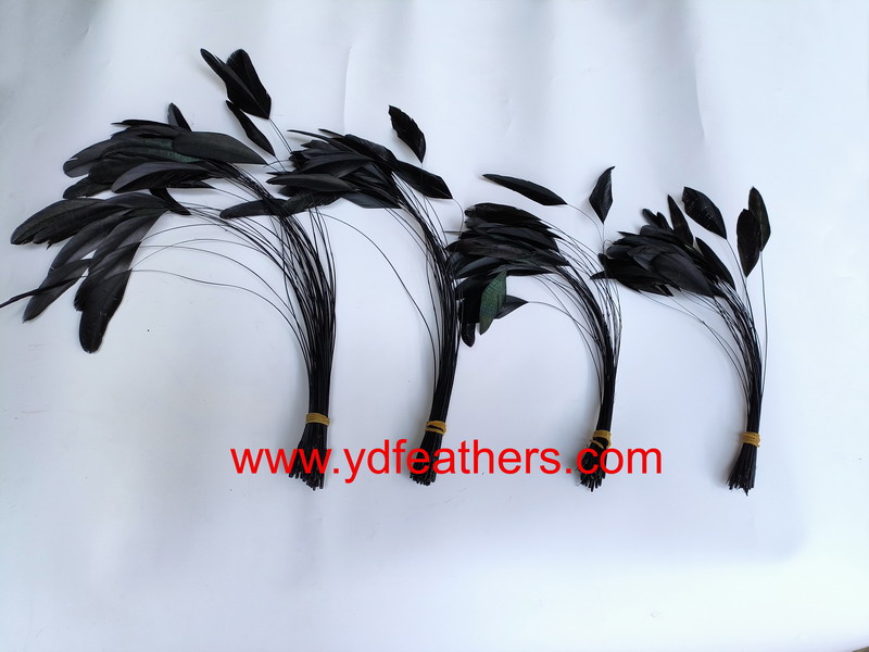 Stripped Black Rooster/Coque/Cock Tail Feather