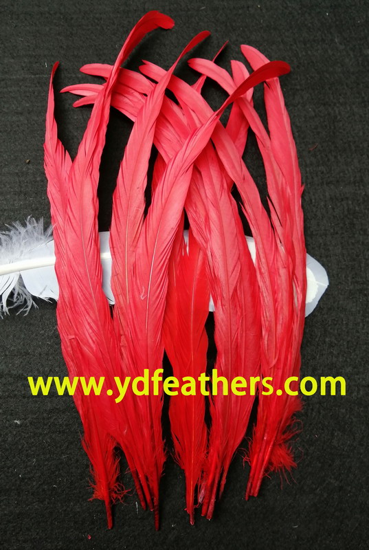 Rooster/Coque/Cock Tail Feather Dyed Red 12-14