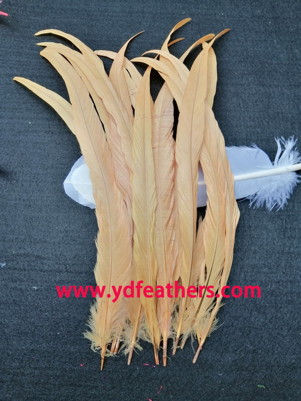 Rooster/Coque/Cock Tail Feather Dyed Orange 12-14