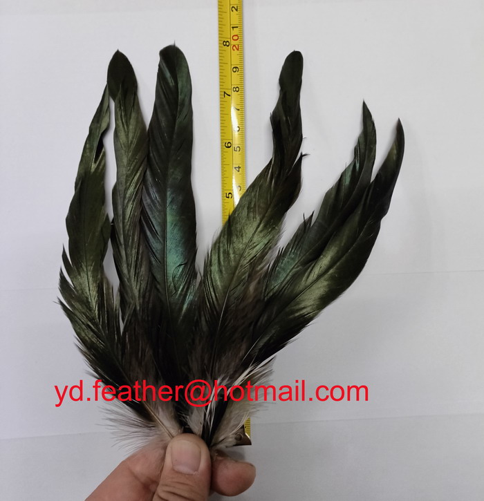 Black Rooster Tail Feather20-25cm
