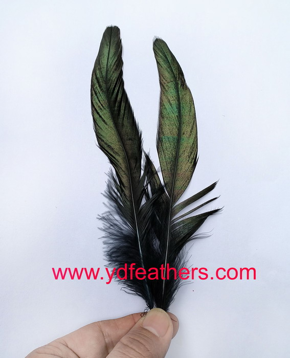 Dyed Black Half-Bronze Rooster/Coque/Cock Schlappens Feather