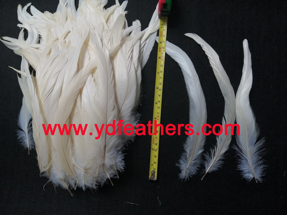 High Quality Bleached Black Rooster/Coque/Cock Tail 8-10