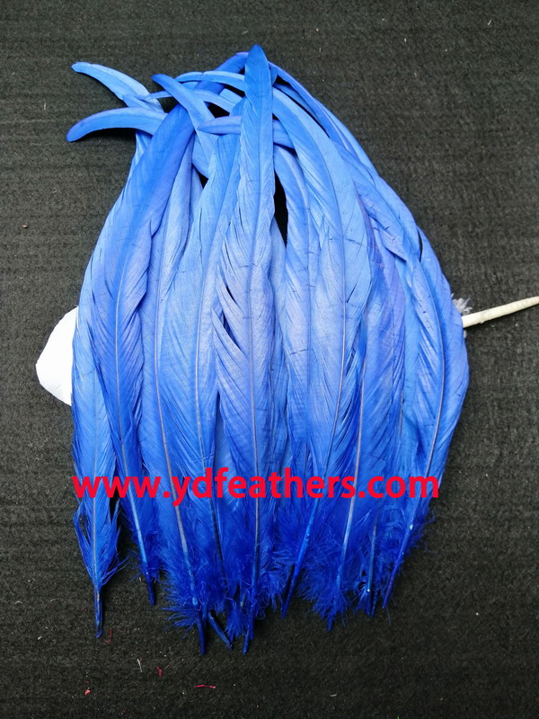 Rooster/Coque/Cock Tail Feather Dyed Blue 12-14