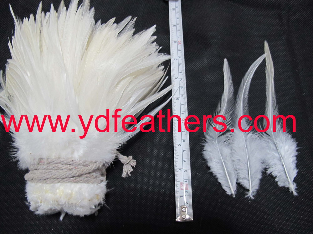 CK-26(Rooster/Coque/Cock Saddles Feather,Strung,13cm Up)