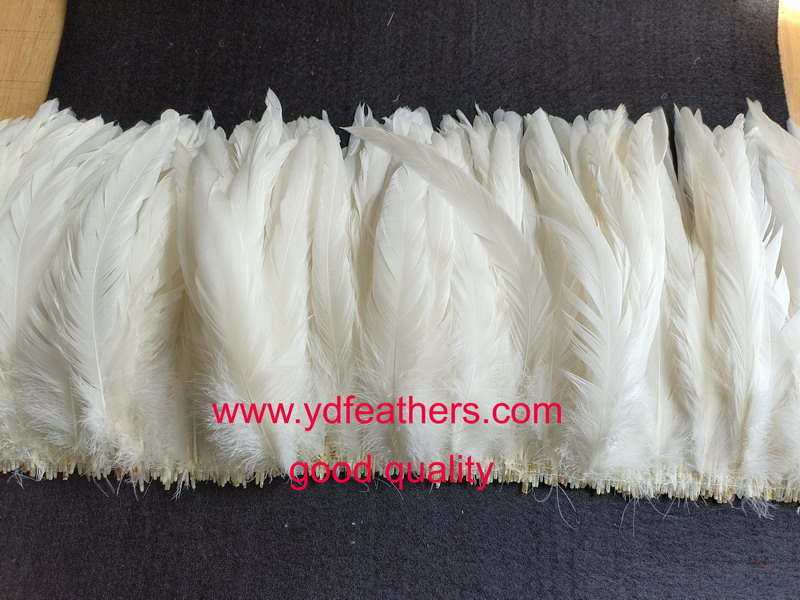 Good Quality Natural White Rooste Tail Feather 8-10