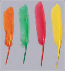 HP-42(Dyed Goose Wing Quills)