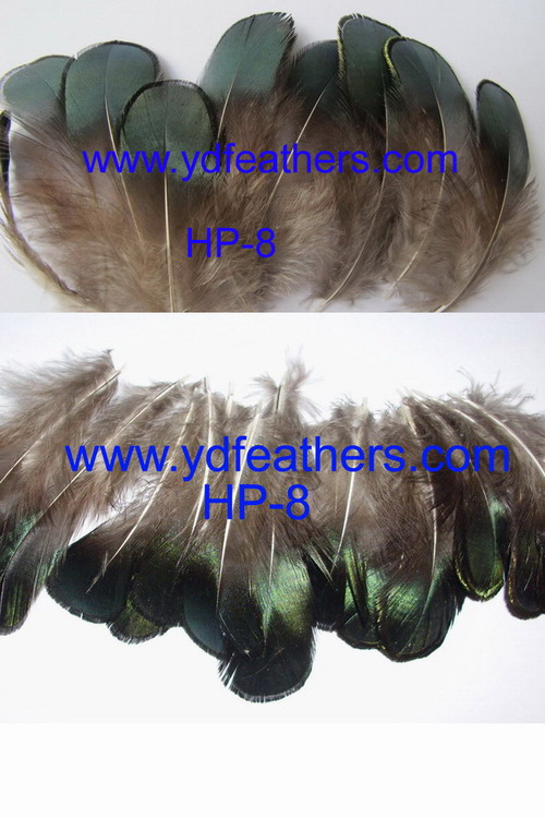 HP-8(Lady Amhurst Pheasant Green Body Feather)