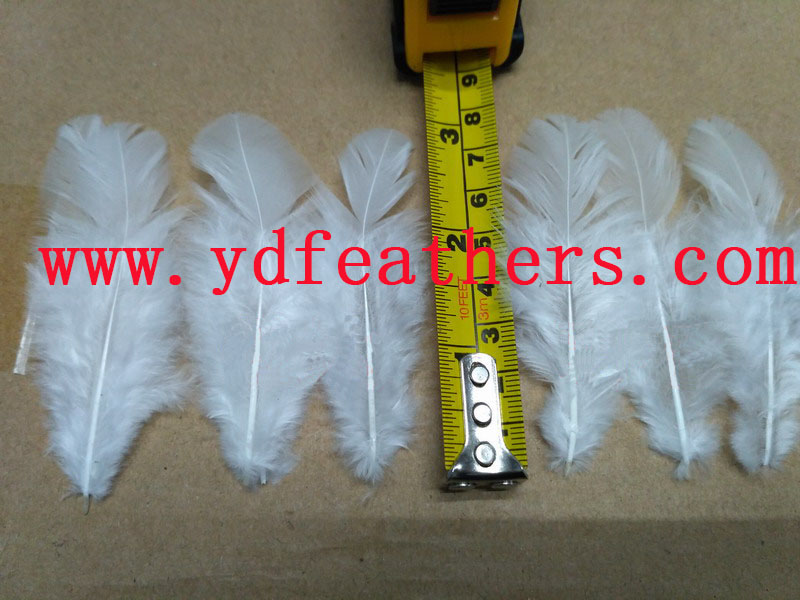 HP-37(High Quality Hen Feather)
