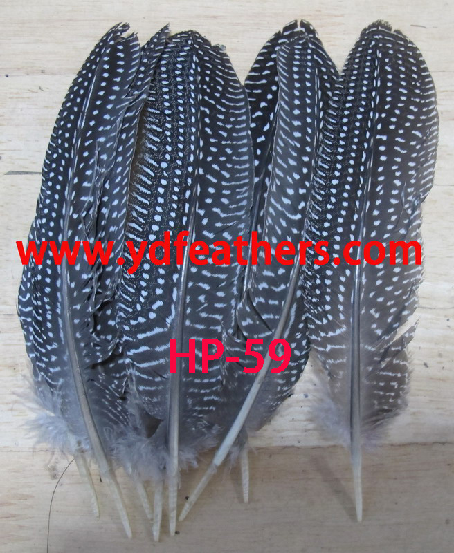 HP-59(Guinea Fowl Spot Plume Feather)