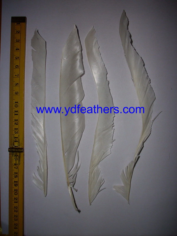 HP-72(Stripped Hard Goose Wings Feather)