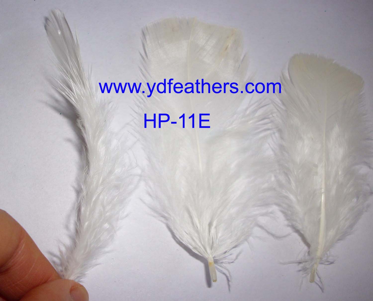 HP-11E(Turkey Pheasant Body Feather)