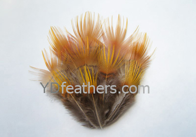 HP-9(Golden Pheasant Yellow Body Feather)