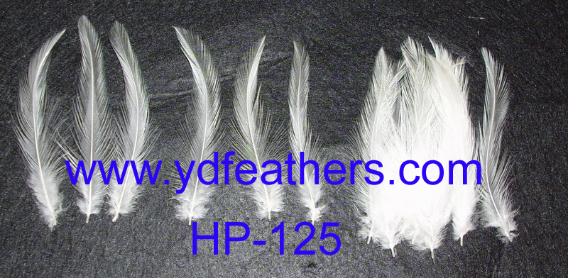 HP-125(White Rooster/Coque/Cock Neck Hackles Feather)