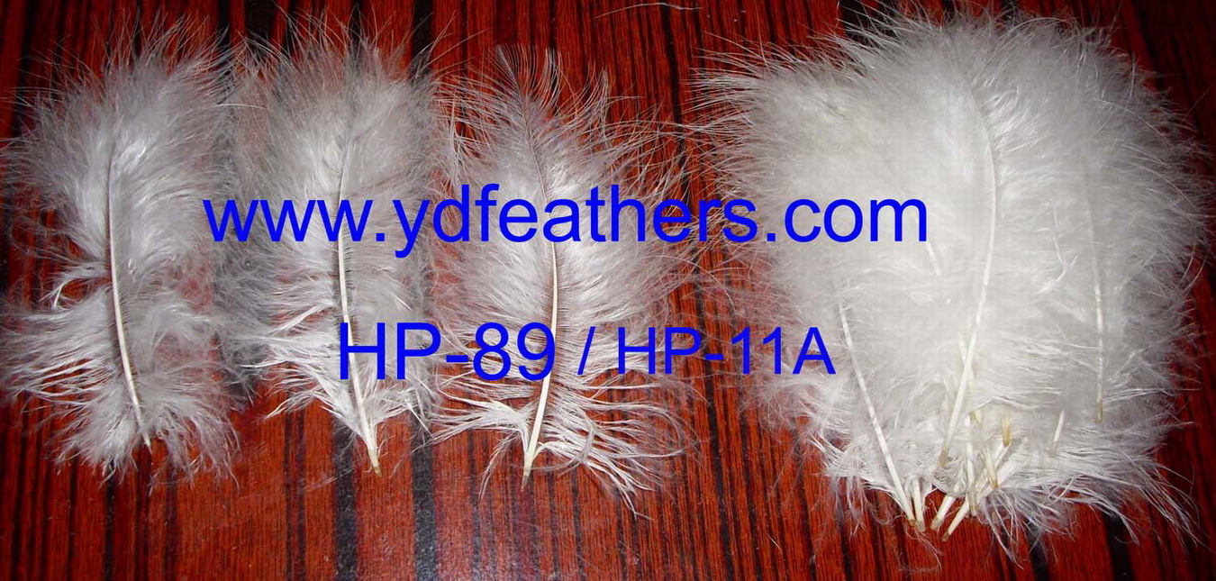HP-11A/HP-89(Turkey Body Down Feather)