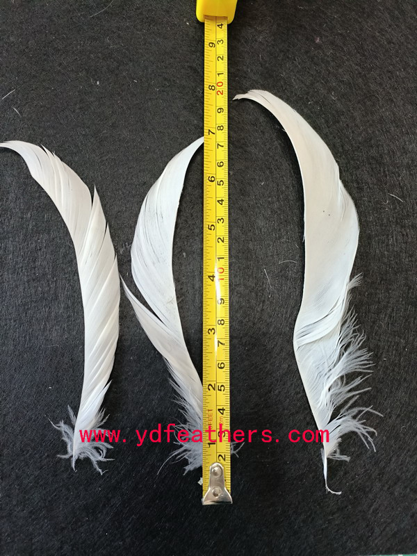 HP-71(Stripped Soft Goose Feather)