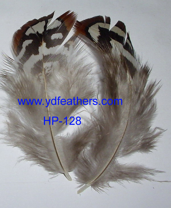HP-128(Reeves Pheasant Body Feather)