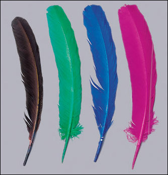 HP-16(Dyed Turkey Plume Rounds Feather)