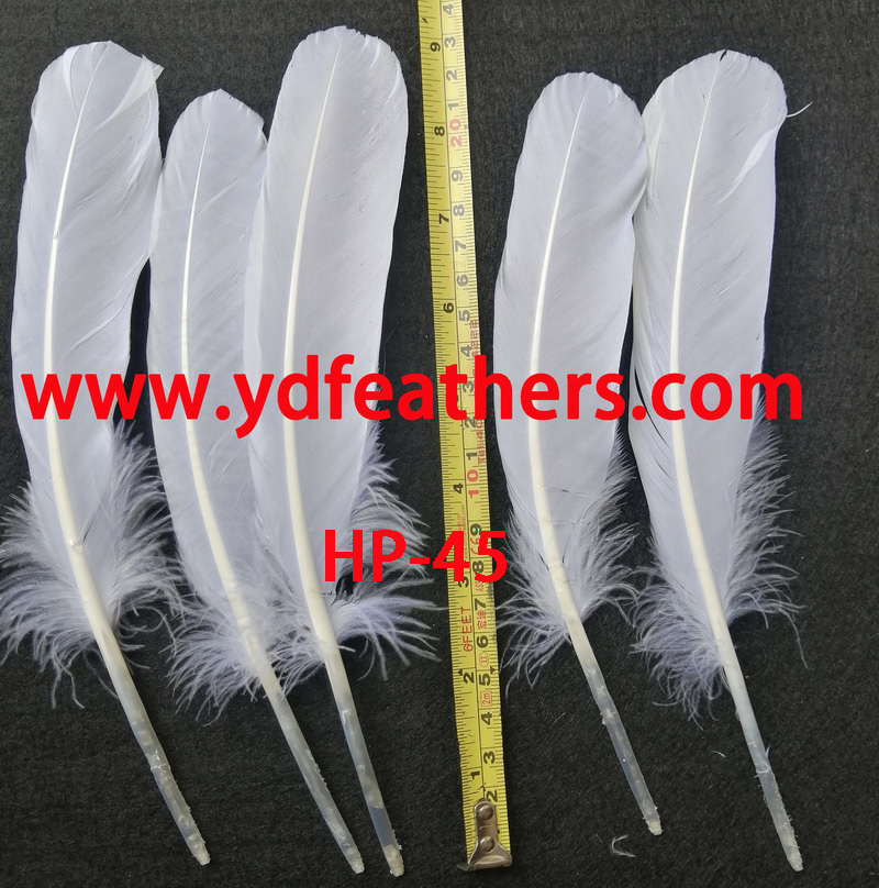HP-45(Goose Wings Feather)
