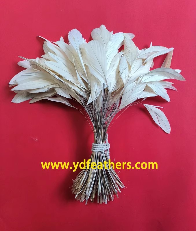 Stripped Bleached Rooster Tail Feather 8-10