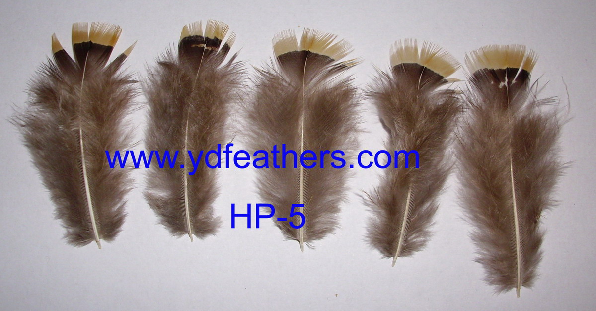 HP-5(Lady Amhurst Pheasant Yellow Body Feather)