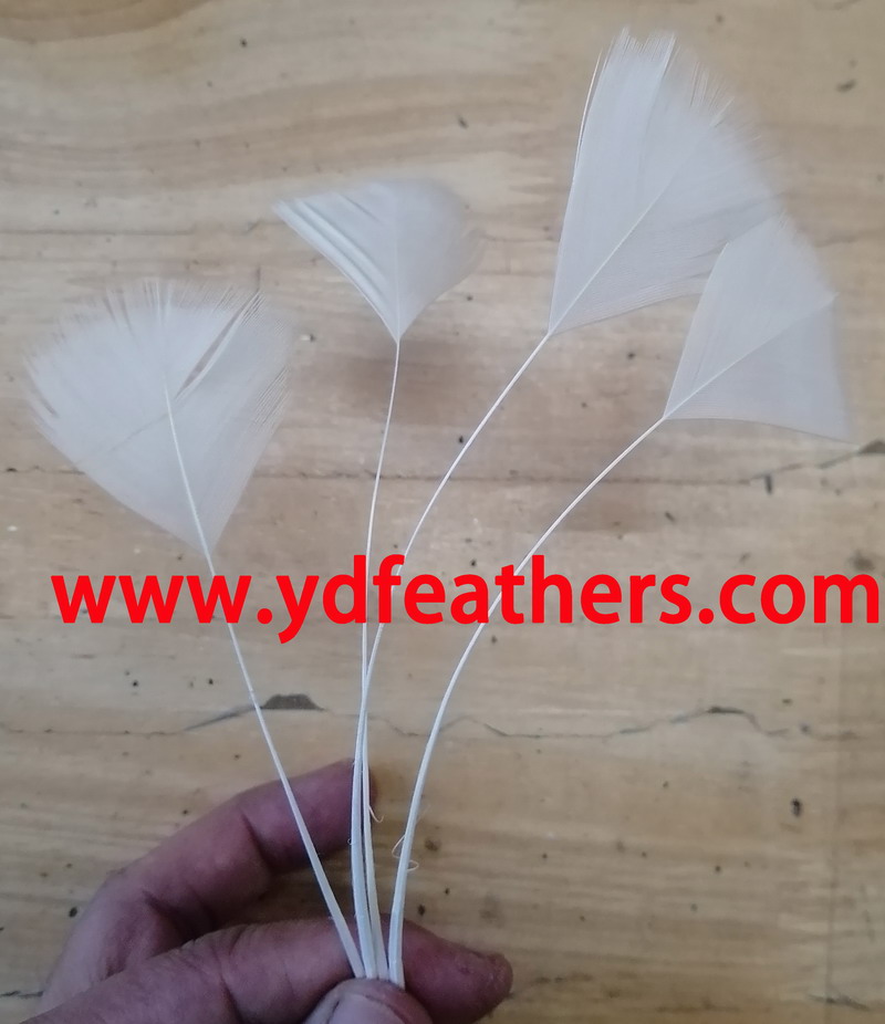 Stripped Turkey T-Base Feather