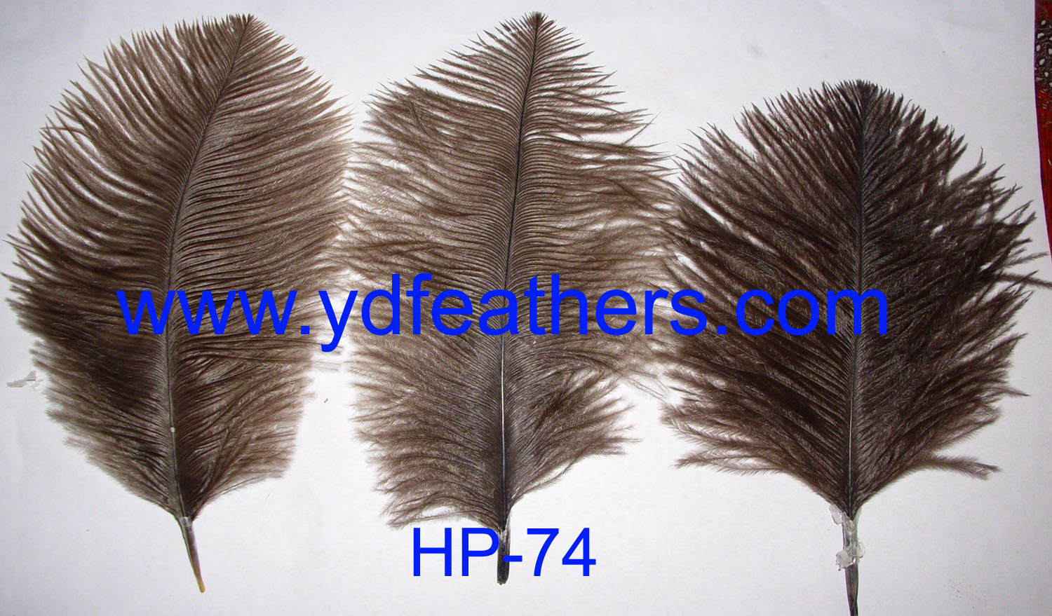 HP-74(Ostrich Body Feather)