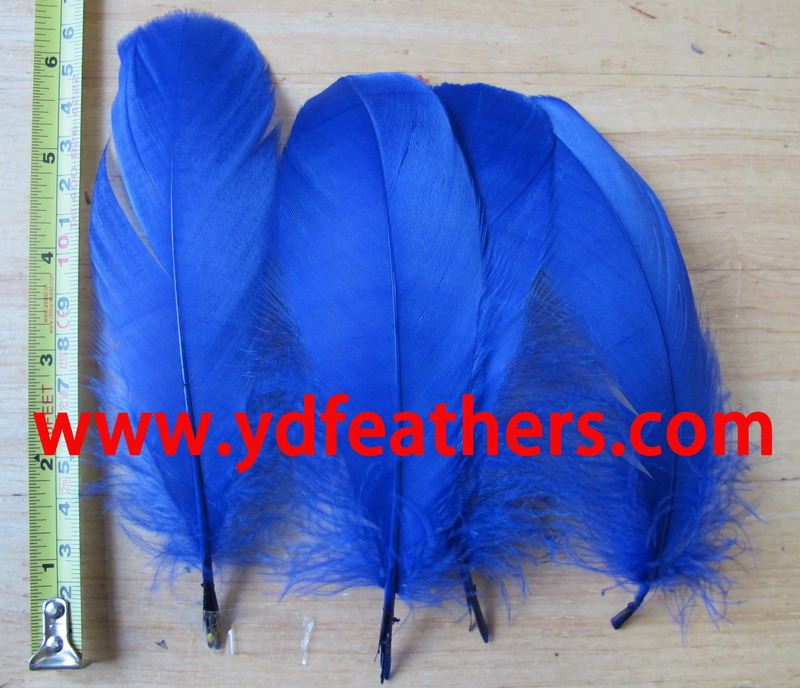 Dyed Blue Goose Nagoires