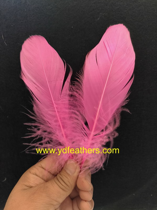 Dyed Pink Goose Nagoires Feather 5