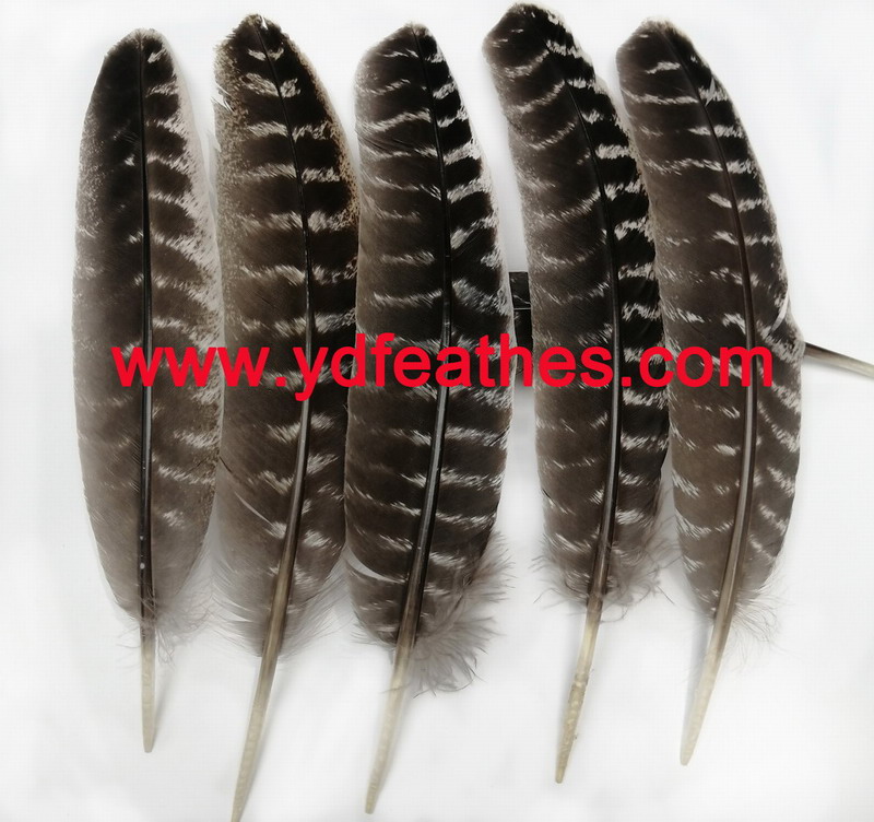 Bronze Turkey Quill Feather