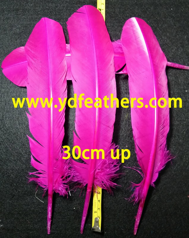 Pink Turkey Rounds Quill Feathers 