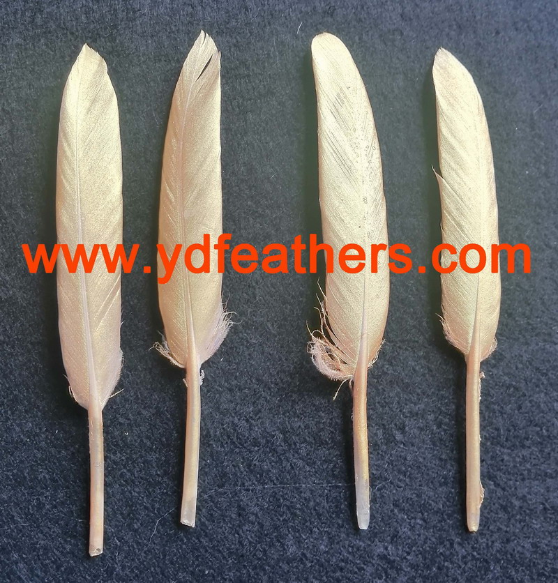 Spray Gold Paint For Goose Feather