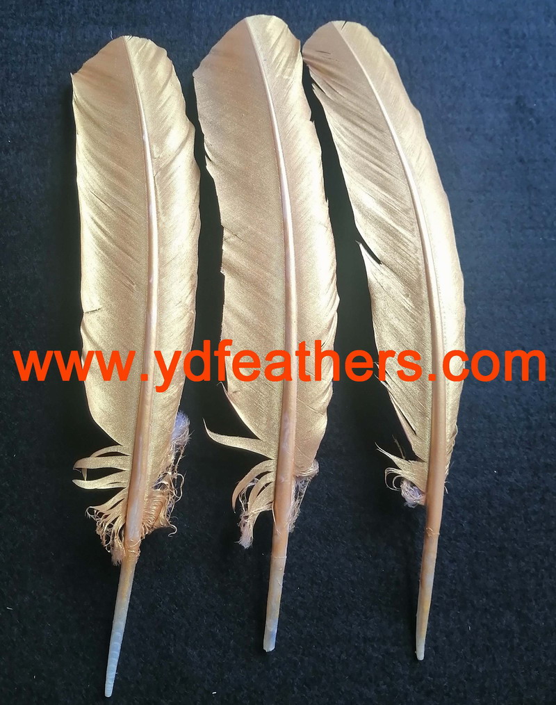 Spray Gold Paint For Turkey Feather