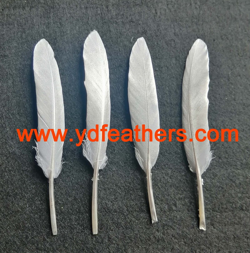 Silver Paint For Goose Feather