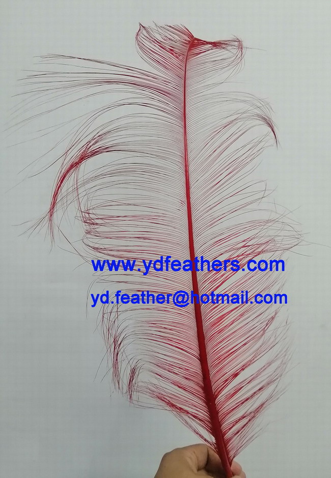 Burnt Ostrich Feather/Plume 50-55cm Dyed Red