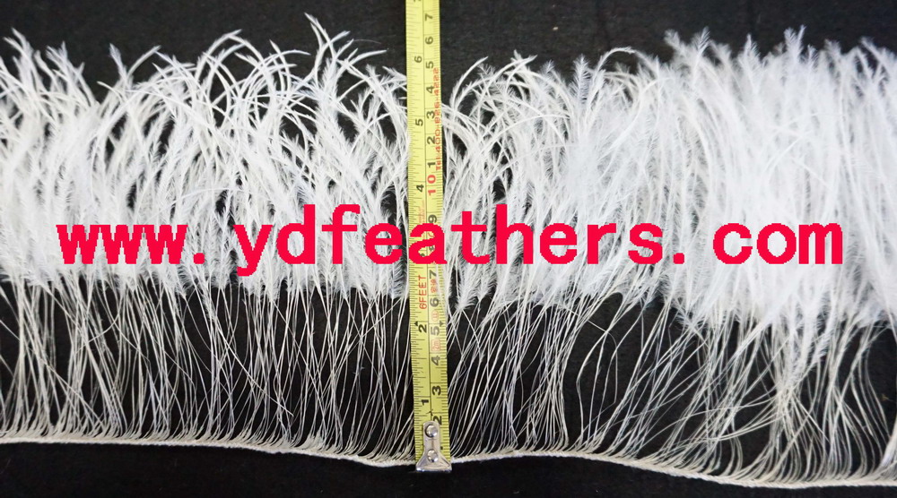 Burnt White 2ply Ostrich Feather Fringe