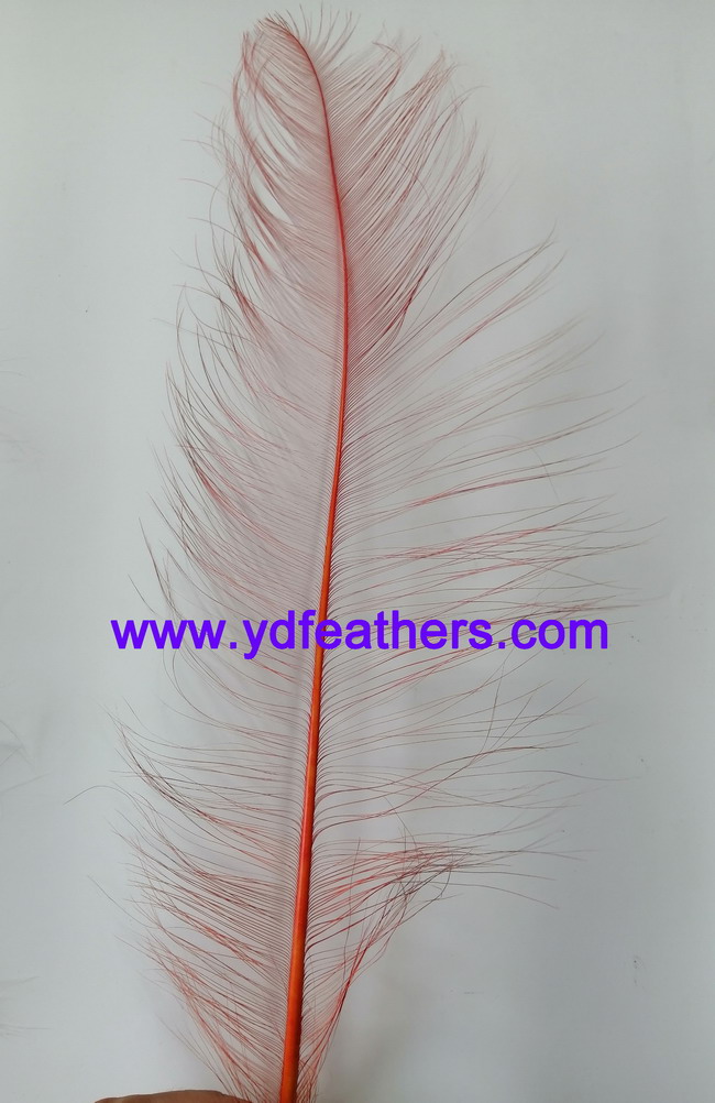 Burnt Ostrich Feather/Plume 50-55cm
