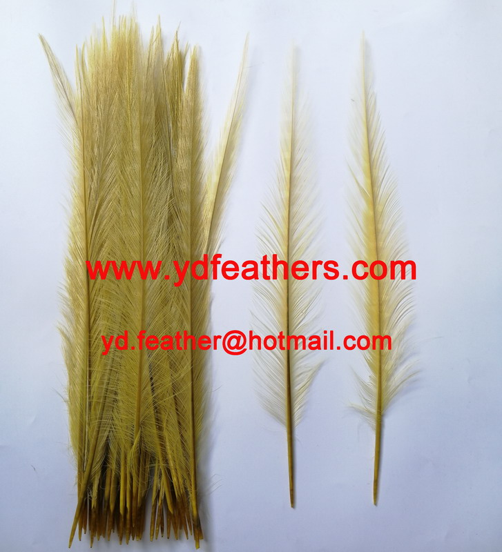 Burnt Ringneck Pheasant Tail Feather Dyed Yellow