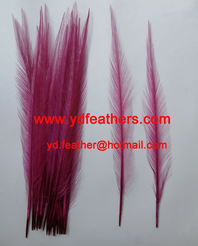 Burnt Ringneck Pheasant Tail Feather Dyed Pink