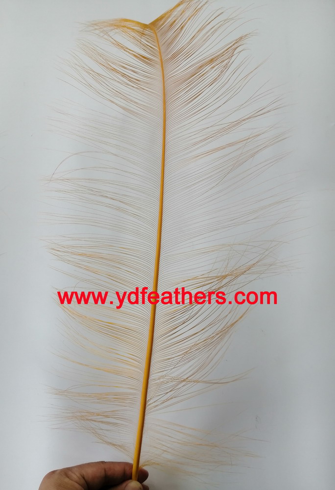 Burnt Ostrich Feather/Plume 50-55cm Dyed Yellow