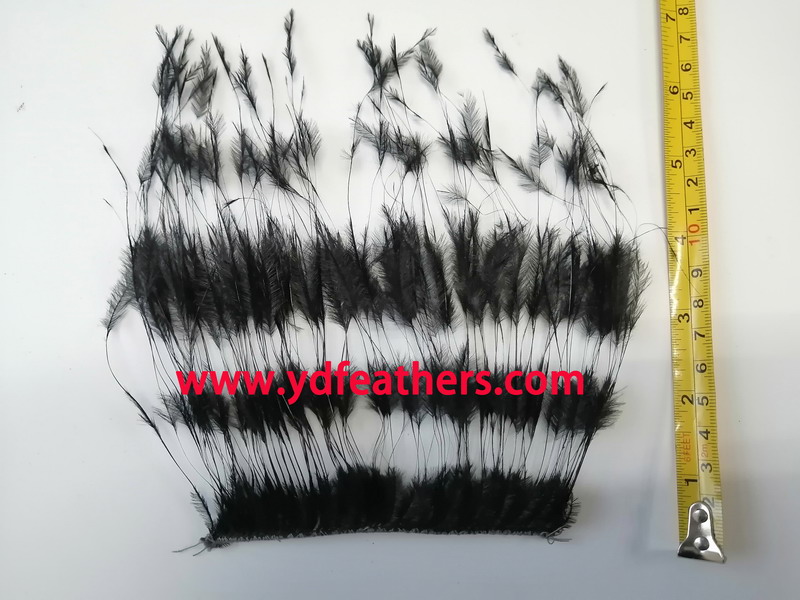 Burnt Black Stripe 2ply Ostrich Feather Fringe 