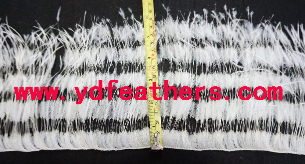 Partially Stripped Ostrich Feather Fringe Sewn On Cord
