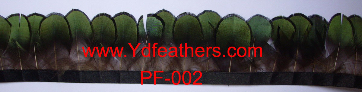 PF-002A(Lady amhurst green fringe)